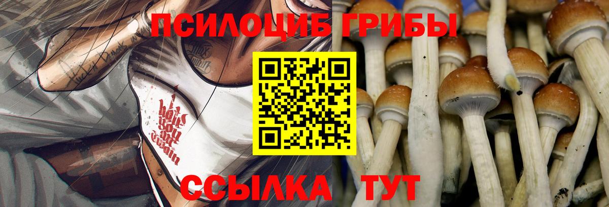 Галлюциногенные грибы прущие грибы  Вход с VPN  Москва 