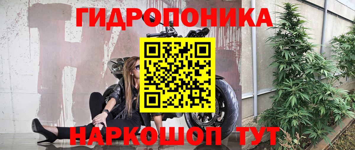 Каннабис Bruce Banner  Марихуана индика  Вход с VPN  Москва 